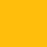 601 - Girassol