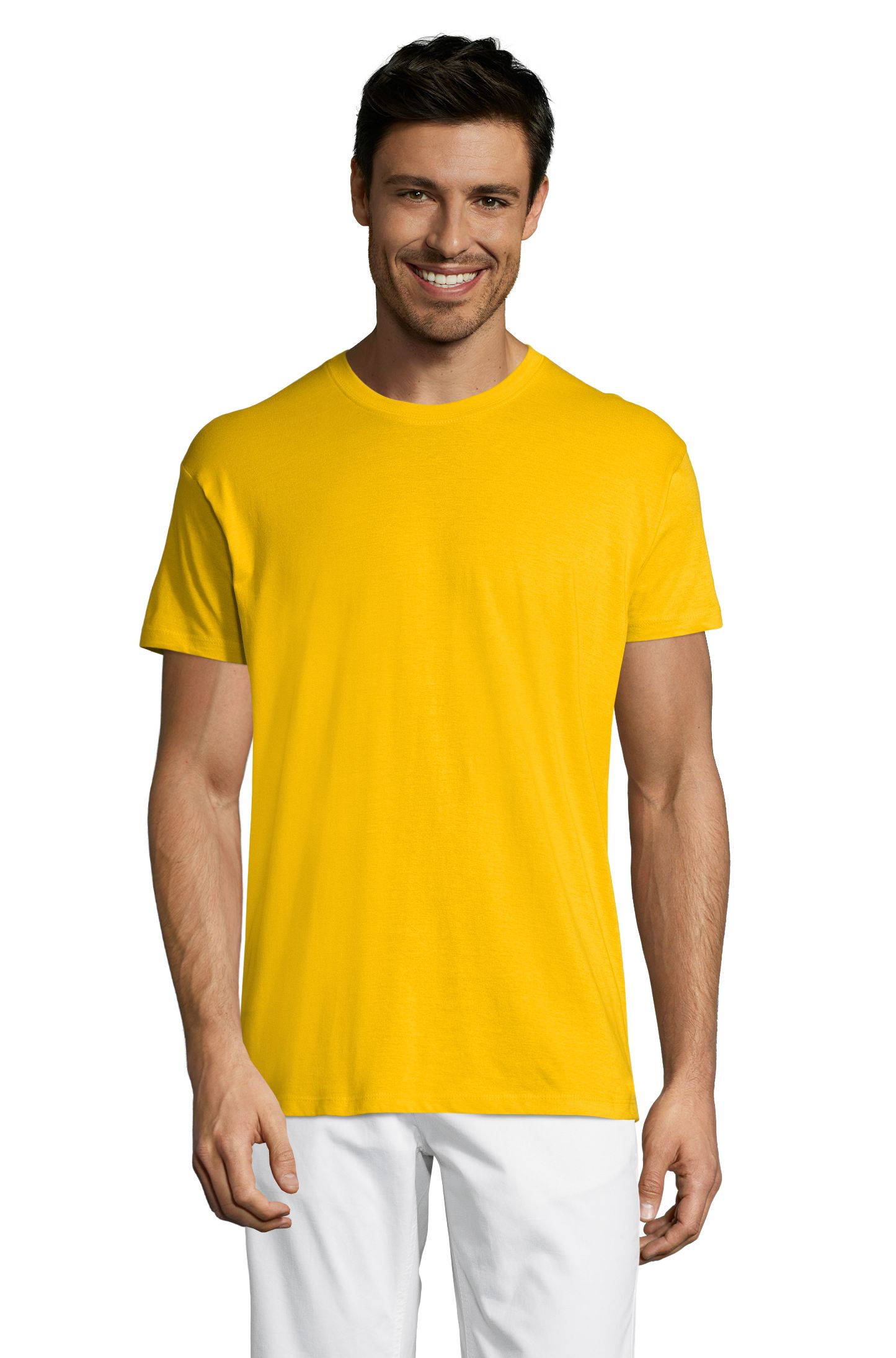 REGENTE - 301 - AMARELO DOURADO