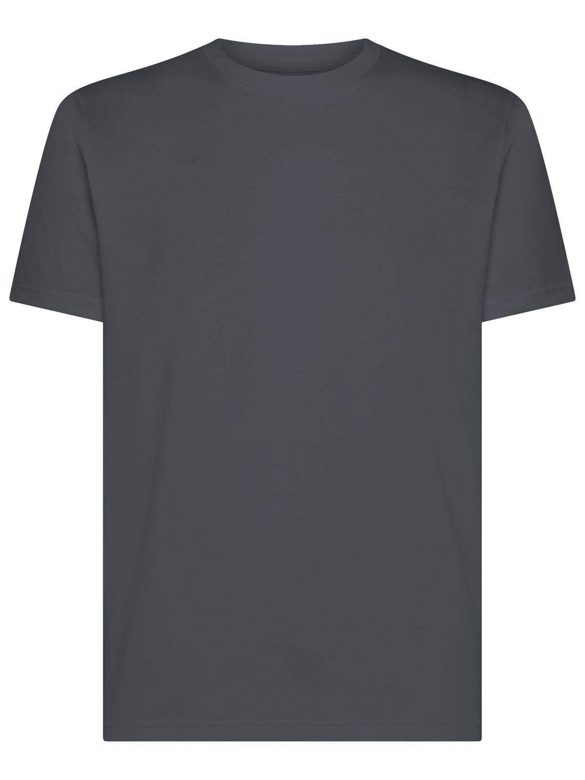Camiseta Paradise Fit - DG - Cinza escuro