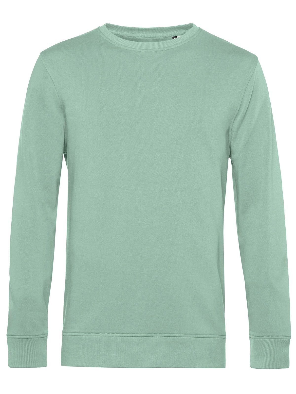 Moletom Inspire Crew Neck_° - SA502 - Sage
