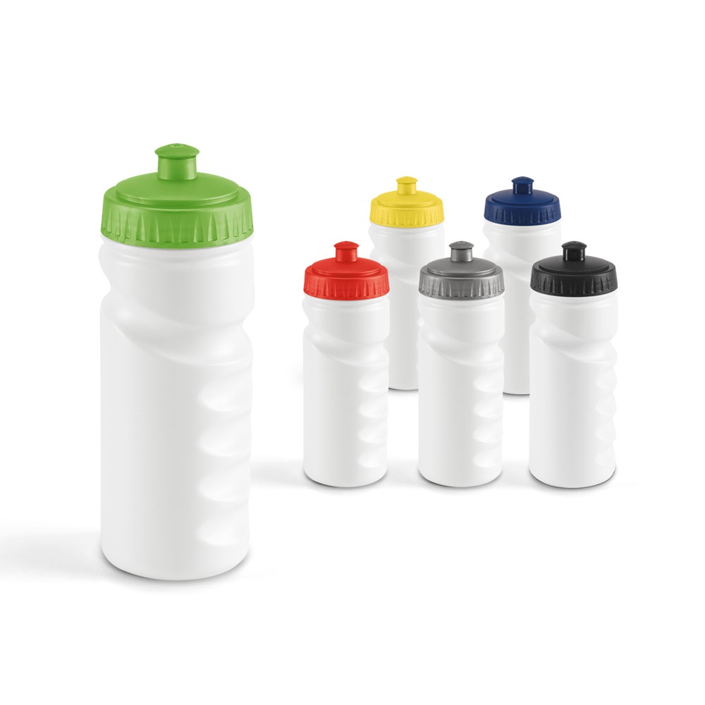 Garrafa esportiva LOWRY de 530 ml em HDPE